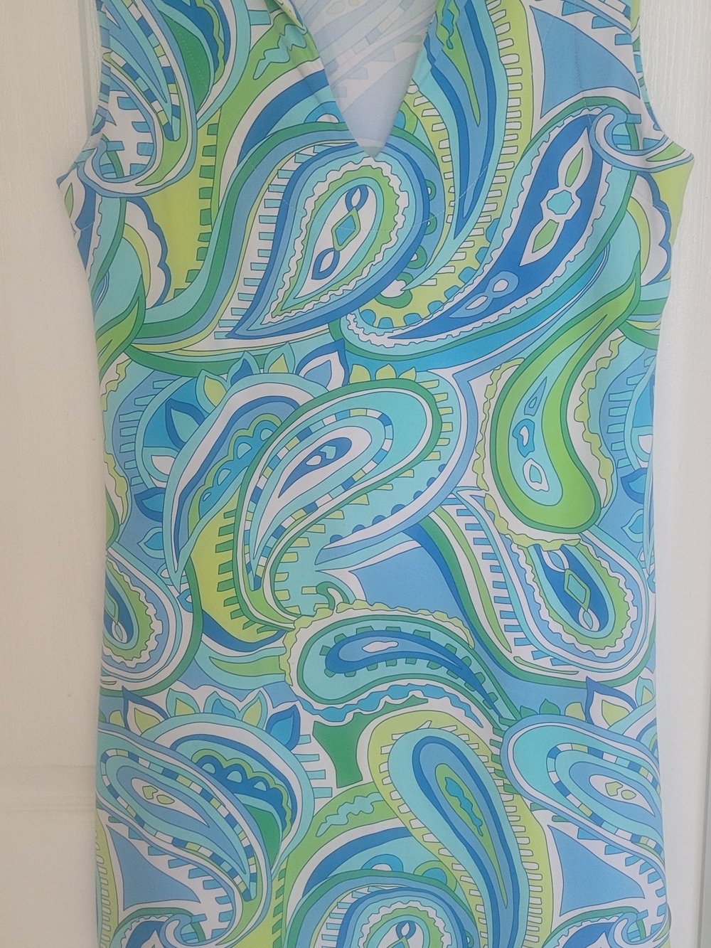 Sleeveless Paisley Shift Dress in Blue & Green